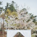 한길출장뷔페 이미지