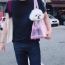 조이그루밍 이미지