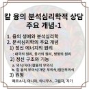 칼 융 분석심리학(원형의 5가지_페르소나, 아니마,아니무스,그림자, 자기) 이미지