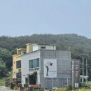 바보까페 | 태안 밧개해수욕장 바보카페 오션뷰｜애견동반 내돈내산 방문 후기