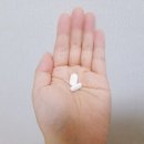 강남웰약국 이미지