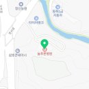 의료법인 성심의료재단 늘푸른병원 네이버블로그