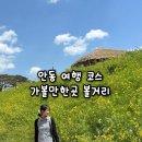 안동 가볼만한곳 1박2일 여행 코스, 하회마을부터 찜닭골목까지 볼거리 정리