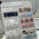 네일바라기&속눈썹 이미지