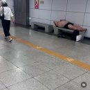 지하철 매너티 이미지