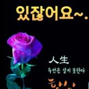 여자의길ㅡ이미자 노래 이미지