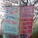 제8회 금천하모니 벗꽃축제 거리질서 켐페인(4월14일토요일~20일금요일) 이미지