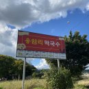 좋은주유소 | 로컬추천 찐맛집, 양주 용암리막국수(평양냉면st), 들나물막국수 후기