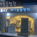 용산-이촌-271 | 용산구 이촌동 동물병원 베이동물병원 위치 오는길 후기