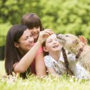 좋은강아지 이미지