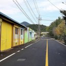 도리마을 숲 이미지