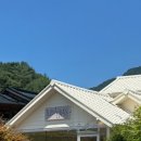 무릉도원면-21 이미지