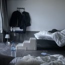 아름다운 애견 네이버블로그