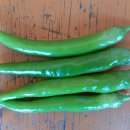 영이용소 이미지