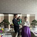 케세뜨(Caissette) | 포포인츠바이 쉐라톤 조선 서울역 출장 후기