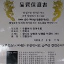 풍경장어 이미지