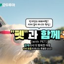 끼리끼리 이미지