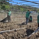 합천농자재 이미지