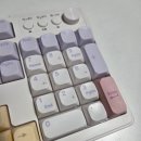 하트레버 | [2026.02.24] 두번째 키보드, '한성컴퓨터 GK104 Office Master-Purple heart(퍼플 하트)' 후기