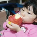 정영농장 이미지