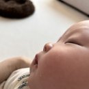 백년대로 418 이미지