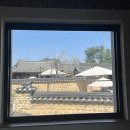 신평동1065 | [경주여행 DAY3] 경주 벚꽃여행코스::보문단지, 대릉원 돌담길, 포석로 소갈비찜, 벨렘 351 황남점...