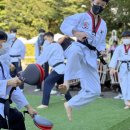 민들레장 이미지