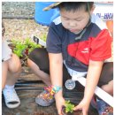 신대농장 이미지