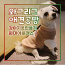 와그리그