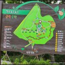 기지시 메타세콰이아 이미지