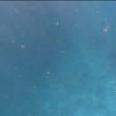 남쪽바다 작은 섬 | [태국푸켓 라차섬 투어] 스노클링 프리다이빙 해파리, 전갱이떼와 함께한 솔직 후기