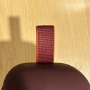 플렉스(FLEX) 노래연습장 | (내돈내산)(BOSE)보스 사운드링크 플렉스 1세대 A to Z, 다음 글에서 2세대와 비교해봐요