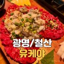 철산점유케야 | 광명 철산 유케야 낙지탕탕이육회 맛집 발견