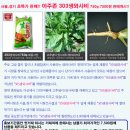 와사비참치일식