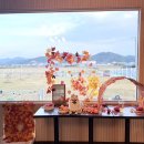 힙독 애견카페 이미지