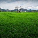 화포천생태습지공원 이미지