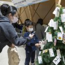 라디안테 뮤지컬 갈라쇼 이미지