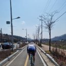 대전역 Daum카페