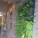 제주브릭스 이미지