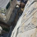 수원-0163 이미지