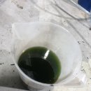 오거리모터스 이미지