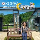 강원도 1박 2일 평창 여행 효석달빛언덕 월정사 전나무숲 농촌 크리에이투어