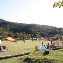 용인자연휴양림 이미지
