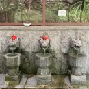 미륵산 약수터 이미지