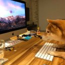 와이투짐 도래울점 이미지