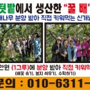 천수텃밭농원 네이버블로그