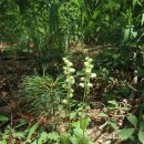 여기 굴봉산 이미지