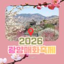 여별 | 광양매화축제 2026 입장료부터 주차 꿀팁까지 4번째 방문 솔직 후기 | 여블제니