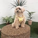 오파프부산 이미지