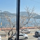 스타벅스통영죽림점 이미지